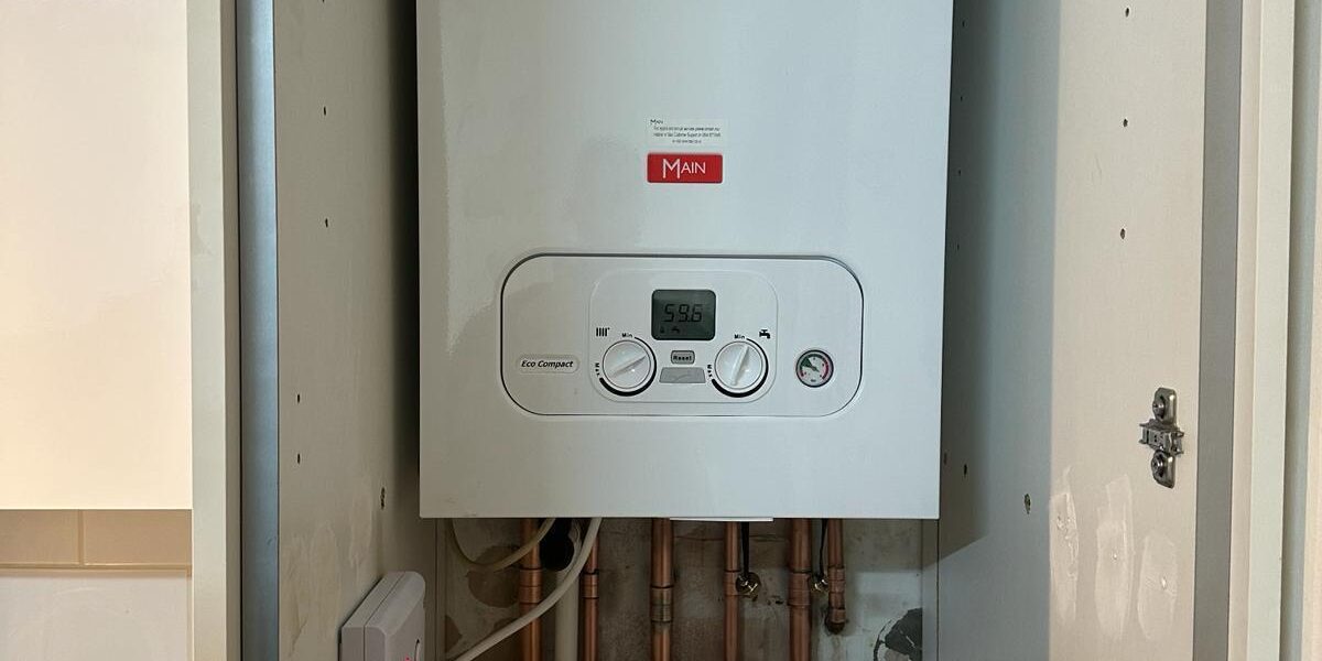 WhatsApp Image 2024-08-19 at 19.37.47 (2)