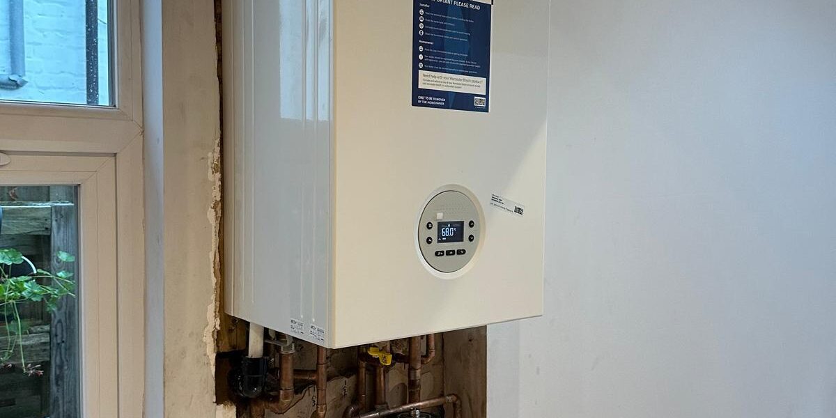 WhatsApp Image 2024-08-19 at 19.37.50 (18)